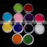 12 fashion personal care nail art velvet set color villus flocking powder for nails