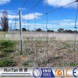 Factory Hot Dip Galvanized Hinged Joint or Field Fence or Cattle Fence or Field Fencing or Grassland Fence (ISO9001,Since 1989)