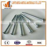 Svender Supply Harp Diamond Point Smooth Shank Electro Galvanized Steel Concrete Nail thumbnail-3