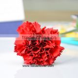 Decorative Flowers Carnation Cut Flower Prices For Wedding Natural Carnation Varieties