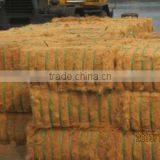 Coconut Fiber 2016 _ QQ : 2598494113 thumbnail-4