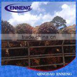 China Manufacturer Low Price Boiler thumbnail-3