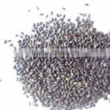 TUKAMARIA/BASIL SEEDS thumbnail-2