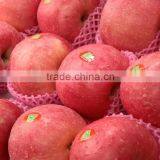 Fresh Fuji Apple thumbnail-6