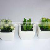 Mini Artificial Cactus With Pot for Indoor Decoration thumbnail-3