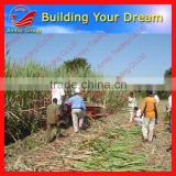 AMISY Exported to Brazil low price of mini sugarcane harvester/mini sugar cane harvest machine/sugar cane harvesting machine