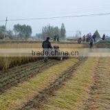 Multifunctional Mini Reaper Head in Harvesters thumbnail-6