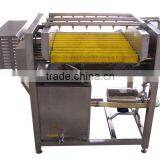 Fruit Vegetable Orange Lemon Brush Roller Washing Machine Washer thumbnail-4