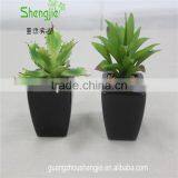 SJLJ013384 Artificial Plant / Fake Plastic Succulent Plant for Office / Restaurant Decoration thumbnail-6
