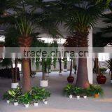 Outdoor Artificial Date Palm Tree High Quality Ornamental Palm Tree Decorative Plam Trees thumbnail-6