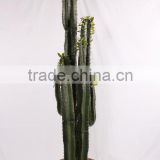 Best Artificial cactus plants