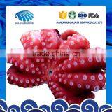Fresh Frozen Vulgaris Octopus With Excellent Quality thumbnail-1