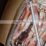 200-300g Frozen Seafood Japanese Flying Squid thumbnail-2
