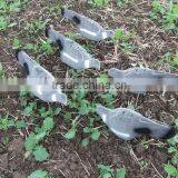 PIGEON DECOY BIRD PAINTED SHELL HIGH QUALITY thumbnail-5