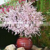 China Wholesale Silk Flower Artificial Real Touch Cherry Blossom Good Quality for Decoration thumbnail-2