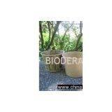 Pd7 Organic Disposable Bowl thumbnail-1