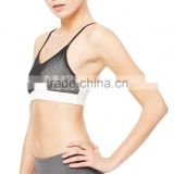 Women Fitness Gym Wear Sexy Padded Sports bra with Mesh Insert