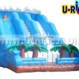 coconut inflatable slide