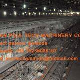 Selling Poultry Farming Equipment Broiler Cage & Broiler Coop & Meat Chicken Cage in Chicken Shed in Russia