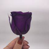 Preserved Fresh Roses Flower for Home Decoration thumbnail-1