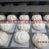 TY-812 Meat Bun Machine thumbnail-3