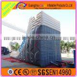 Giant Inflatable Plastic Dry Slide for Amusement Park thumbnail-4