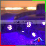 365-405nm UV Led Strip 5050, Black Light UV Strip Led,UV Led Rope Light thumbnail-6