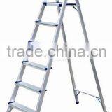 Family Aluminium Ladder 6
