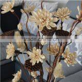2016 New Water Lily Natural Dried Lotus Artificial Flower Dry Flower Decoration