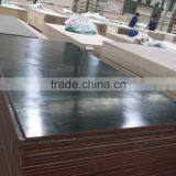 Film Face Shuttering Plywood thumbnail-3