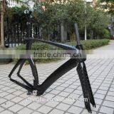 Super Cool Carbon Bike Frame, Carbon TT Bicycle Frame FM018