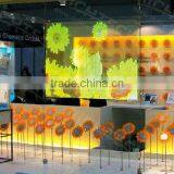 RichTech Transparent Adhesive Rear Projection Filming Quality Choice thumbnail-2