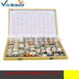 100 Items Rock Stone, Geographical Teaching Specimen thumbnail-1
