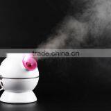 Home Use Dual Mist Skin Care Good Quality Nano Facial Steamer Machine thumbnail-4