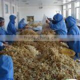 Qingdao Kington Produce Co., Ltd. company overview - view 4 thumbnail