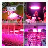 ufo series 45x3w led plant lights for hydroponic lettuce growing