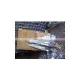 Metal Ground Spike Pile