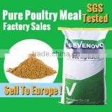 Poultry Meal With Protein 60% 65%