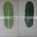 Monstera Leaves,dried Banana Leaf ,foliage Tree Leaves Decoration thumbnail-5
