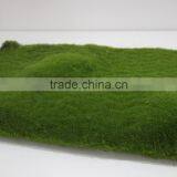 Artificial Moss Grass Wall for Decoration Real Artificial Moss Mat thumbnail-2