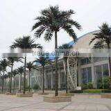 OEM /ODM Manufacture Artificial Coconut Tree thumbnail-1