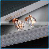 Beautiful Rose Gold Plated Earring Stainless Steel Cute Fox Animal Stud Earring for Women thumbnail-4