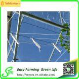 Double Tomato Hook With White Twine thumbnail-4
