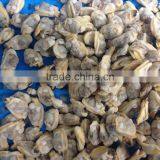 Tasty and Delicious High Quality Frozen Cooked Short Necked Clam Meat Without Shell thumbnail-6
