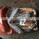 Frozen Squid(loligo Squid,frozen Fish) thumbnail-4