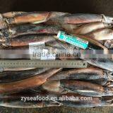 HACCP Frozen Cargo Argentine Squid by Glazing thumbnail-1