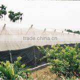 NET HOUSE thumbnail-3