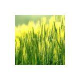 Sell DAP, MAP thumbnail-1