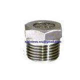 Stainless Steel 304 316 Plug thumbnail-1