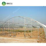 Top Quality China Manufacturer Single Span Polyethylene Film Greenhouses thumbnail-3